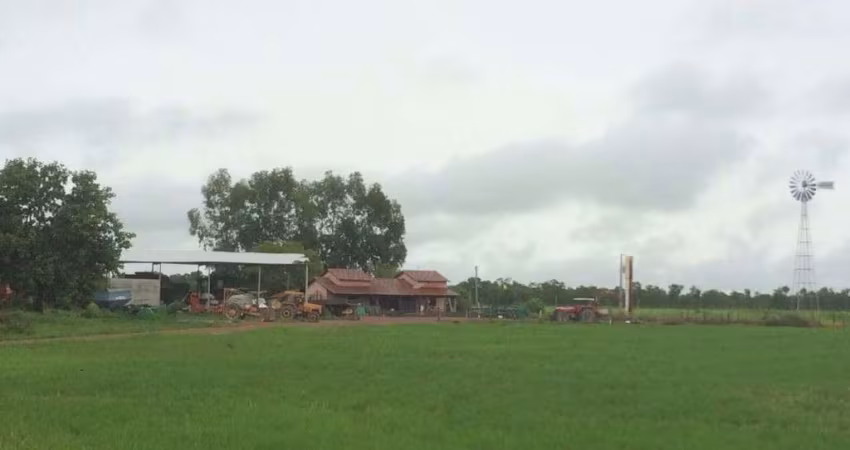 FAZENDA DUPLA APTIDÃO COM 300 ALQUEIRES EM LAGOA DA CONFUSÃO - TO