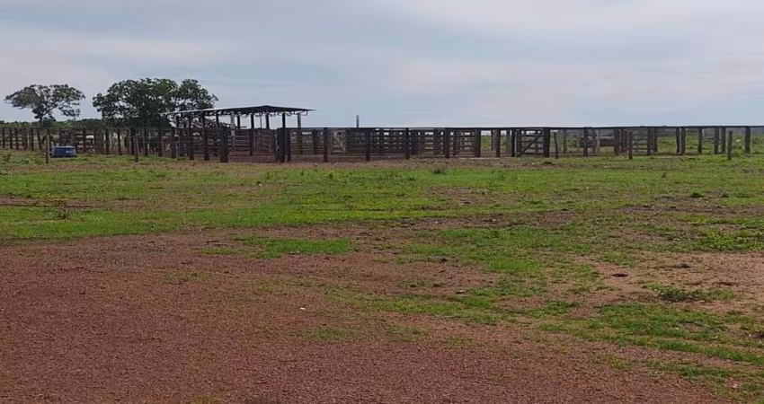 FAZENDA COM 320 ALQUEIRES DUPLA APTIDÃO EM BOM JESUS DO TOCANTINS - TO