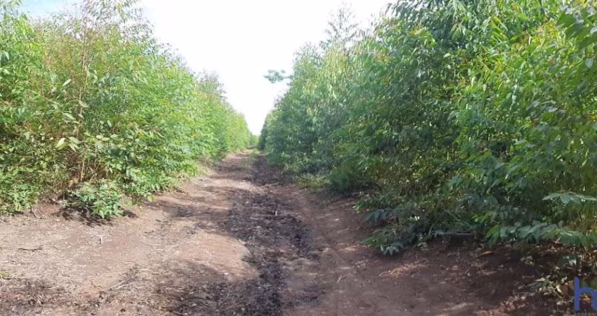ÓTIMA FAZENDA DUPLA APTIDÃO 70 ALQUEIRES PAULISTAS EM FORMIGA-MG