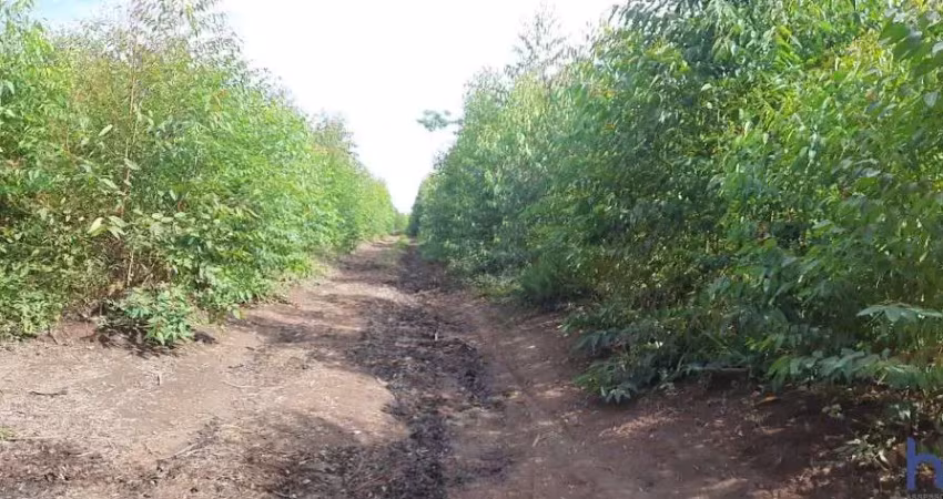 Ótima fazenda dupla aptidão 70 alqueires paulistas em formiga-mg