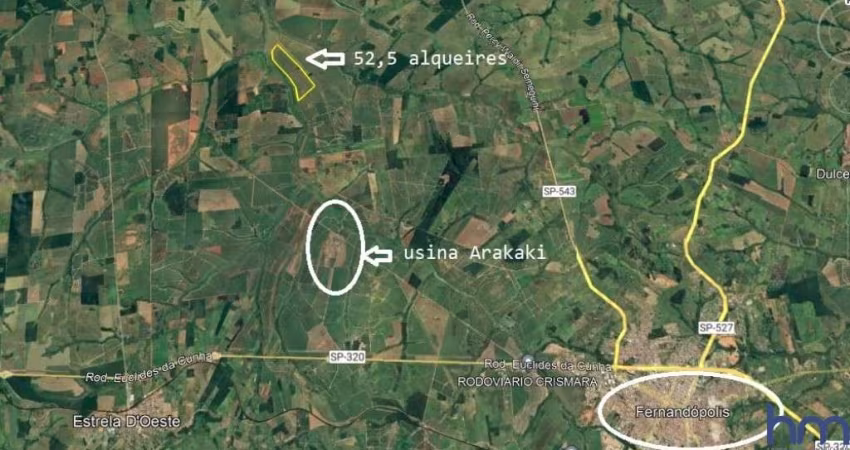 FAZENDA PARA AGRICULTURA EM CANA COM 52,5 ALQUEIRES PAULISTAS EM FERNANDÓPOLIS - SP
