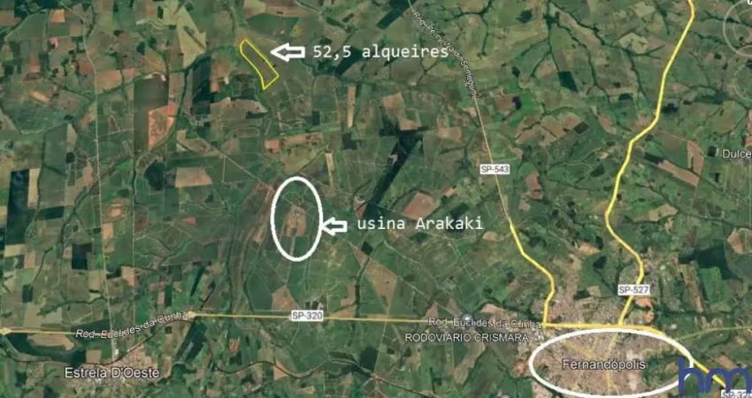 Fazenda para agricultura em cana com 52,5 alqueires paulistas em fernandópolis - sp