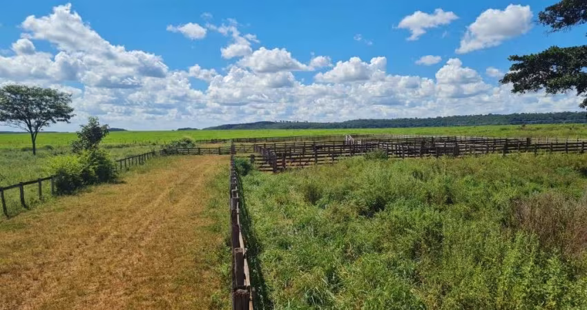 FAZENDA DUPLA APTIDÃO 160 ALQUEIRES EM ITARUMÃ-GO