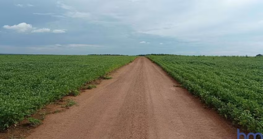 FAZENDA PARA AGRICULTURA COM 227 ALQUEIRES EM SANTA RITA DO TOCANTINS-TO