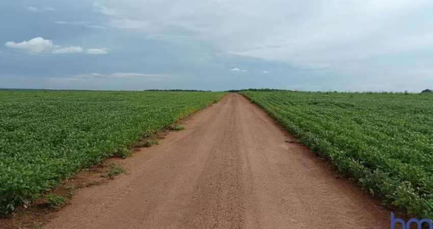 Fazenda para agricultura com 227 alqueires em santa rita do tocantins-to