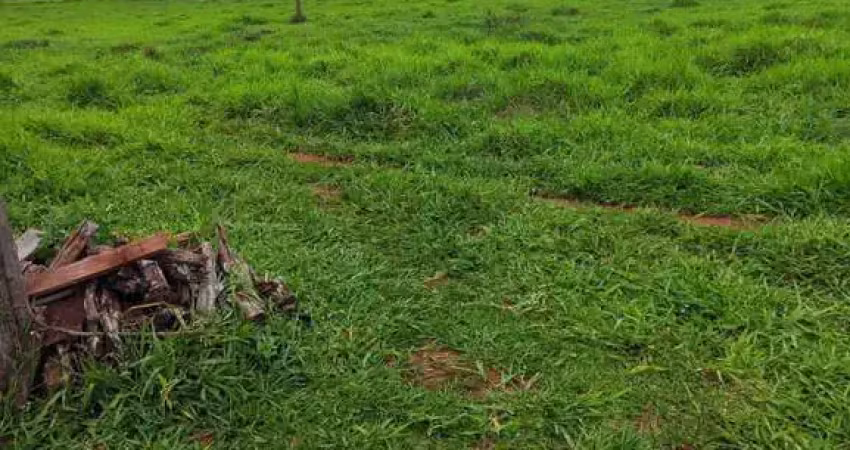 Fazenda com 55 alqueires de dupla aptidão em campina verde-mg