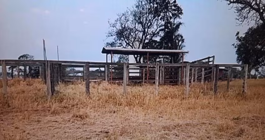FAZENDA COM 76 ALQUEIRES DUPLA APTIDÃO NO MUNICÍPIO DE CAMPINA VERDE - MG