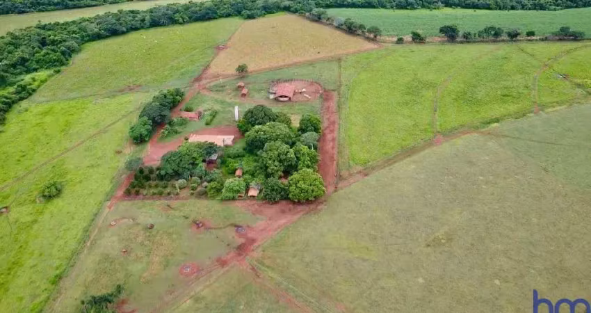Fazenda de dupla aptidão com 63 alqueires em cachoeira dourada-go