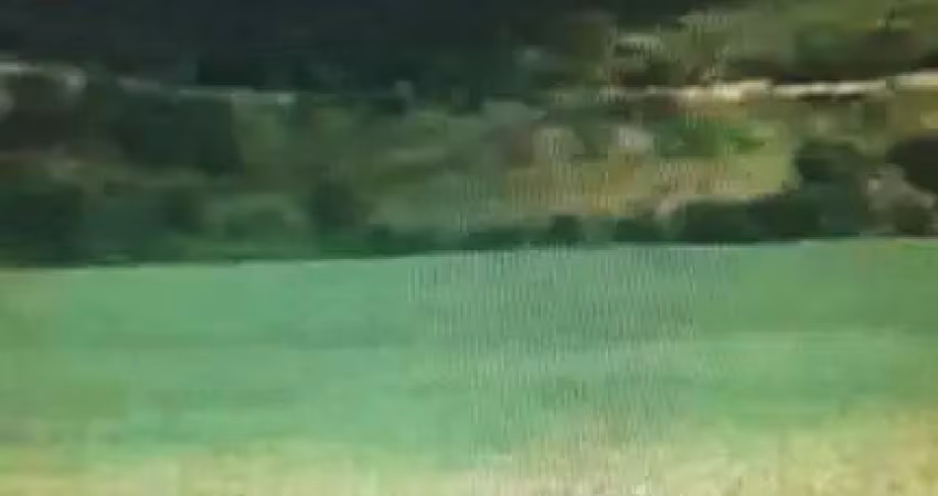 Fazenda para agricultura com 51 alqueires paulistas em piumhi - mg
