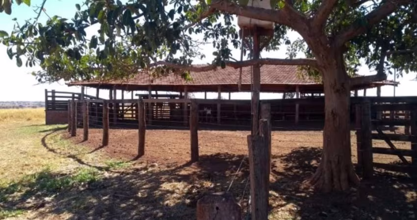 FAZENDA DUPLA APTIDÃO EM CAMPINA VERDE-MG 206 ALQUEIRES