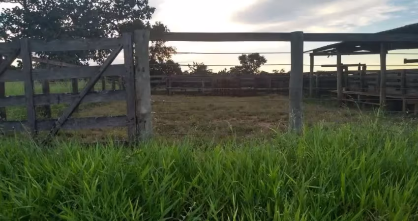 Fazenda com 62 alqueires para pecuária no município de ituiutaba - mg
