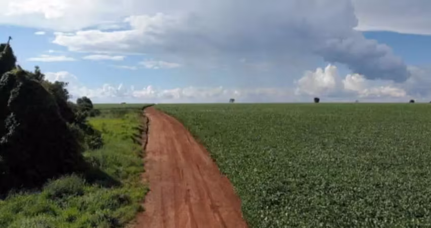 Fazenda com 260 hectares para agricultura no município de coromandel - mg