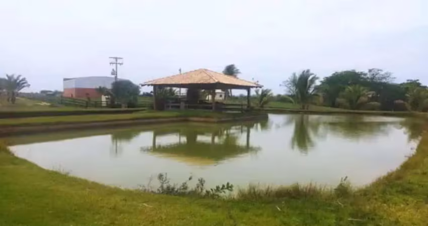 Ótima fazenda 130 alqueires dupla aptidão com cana arrendada e pista de pouso em panorama-sp