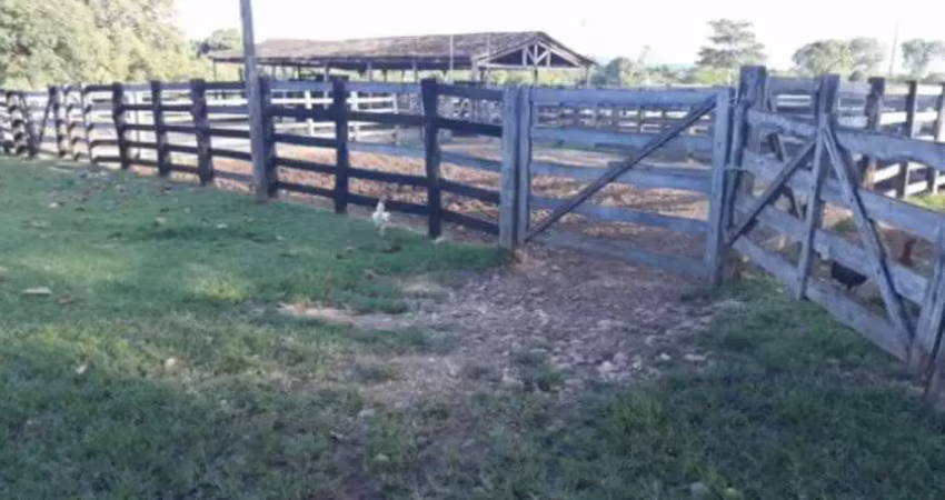 Fazenda com 198 alqueires dupla aptidão em jaú do tocantins - to