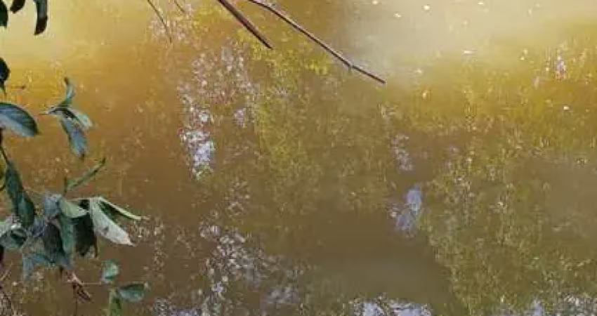 Fazenda com 160 alqueires de dupla aptidão em rio sono-to