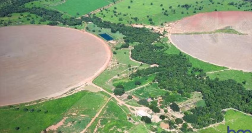 ÓTIMA FAZENDA COM 100 ALQUEIRES DE DUPLA APTIDÃO EM ARINOS-MG