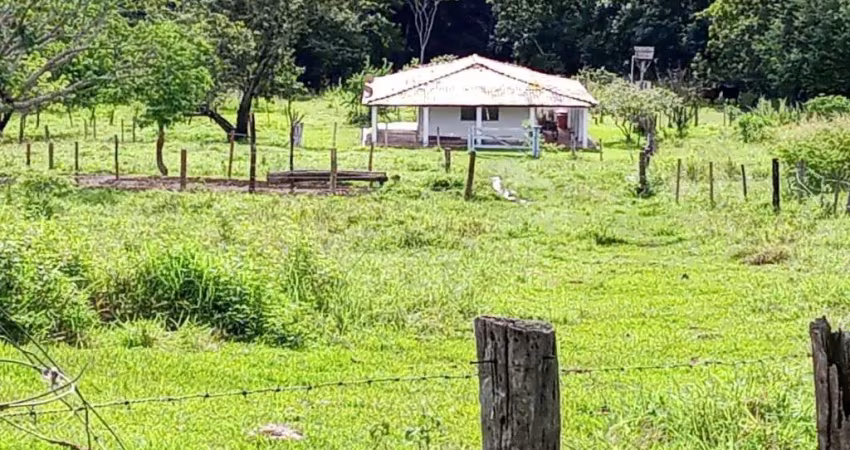 Sítio com 7 alqueires muito bem localizado no município de araguari-mg