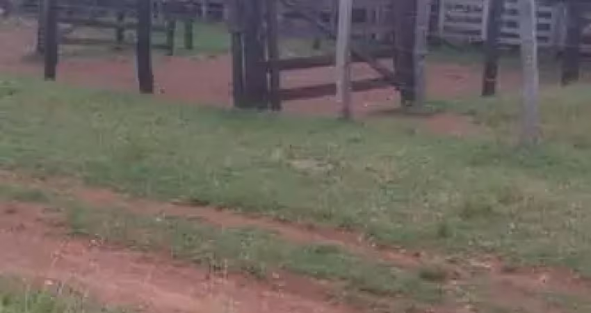 Fazenda com 250 alqueires de dupla aptidão situada no município de peixe-to