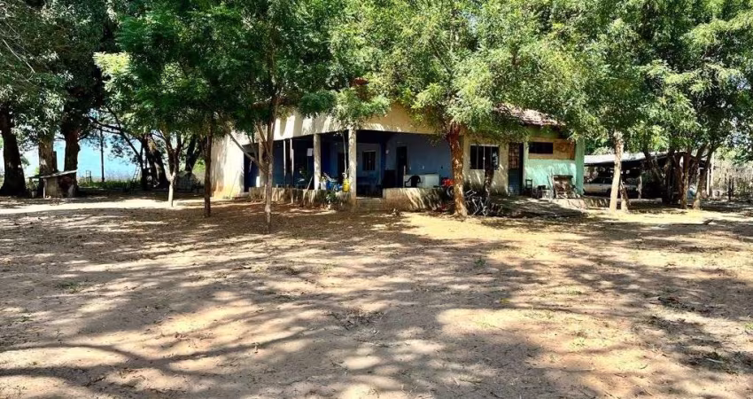 FAZENDA COM 1.000 ALQUEIRES DE DUPLA APTIDÃO EM ALMAS-TO