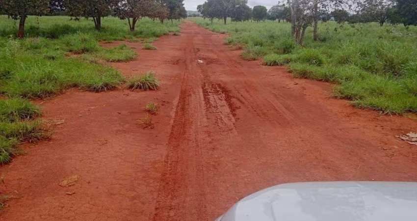 GRANDE FAZENDA DE DUPLA APTIDÃO COM 1.400 ALQUEIRES EM SILVANÓPOLIS-TO