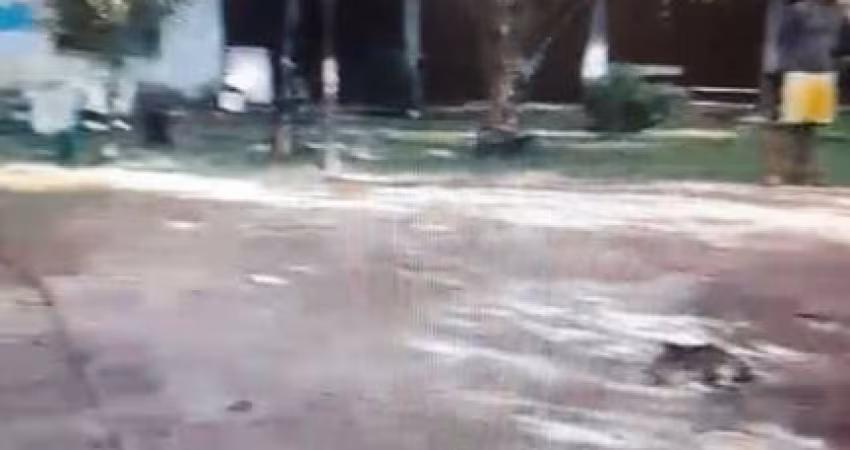 FAZENDA COM 144 ALQUEIRES DUPLA APTIDÃO EM BREJINHO DE NAZARÉ-TO