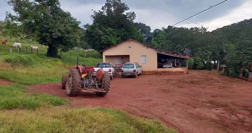 Fazenda para pecuária com 52 alqueires em trombas-go