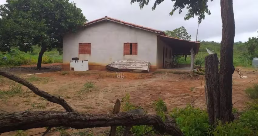Oportunidade fazenda de dupla aptidão com 84 alqueires em são salvador do tocantins-to