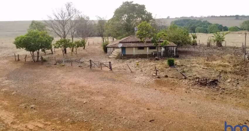 Fazenda extra com 40 alqueires dupla aptidão ipameri-go