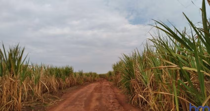 FAZENDA COM 71 ALQUEIRES ARRENDADA PARA USINA DE CANA EM UNIÃO DE MINAS-MG