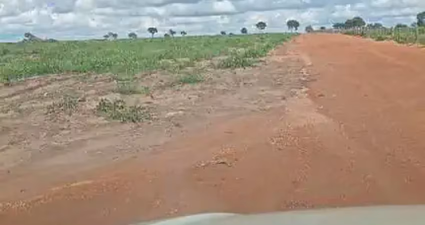 Fazenda com dupla aptidão com 100 alqueires em aruanã-go