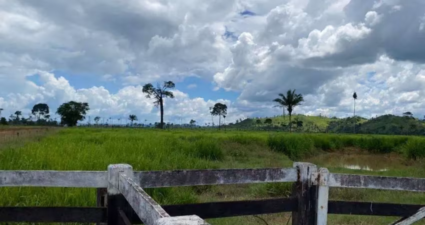 Fazenda dupla aptidão com 300 alqueires em são félix do xingu - pa