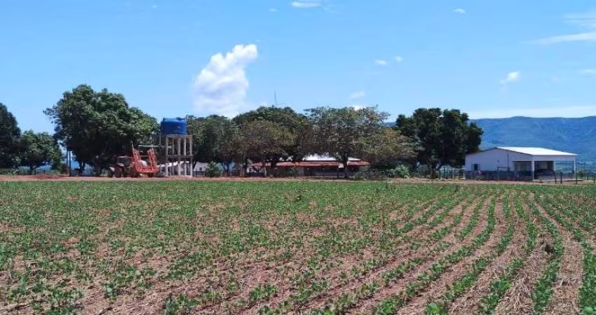 FAZENDA DE DUPLA APTIDÃO COM 95 ALQUEIRES EM FORMOSA-GO