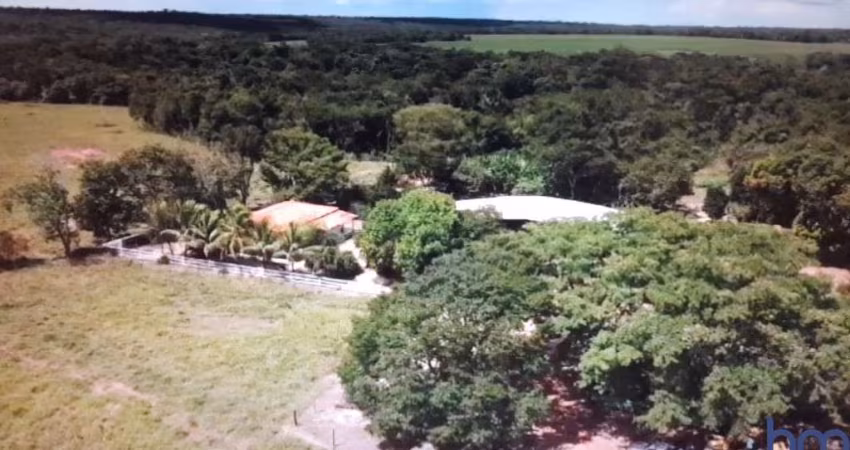 FAZENDA COM 840 ALQUEIRES DUPLA APTIDÃO NO MUNICÍPIO DE NOVO ACORDO - TO
