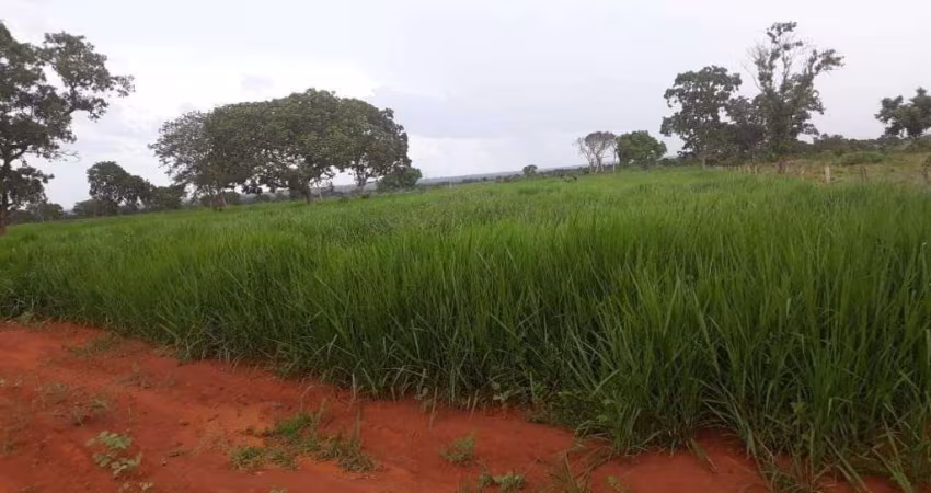 FAZENDA COM 316 ALQUEIRES DE DUPLA APTIDÃO EM PORANGATU-GO