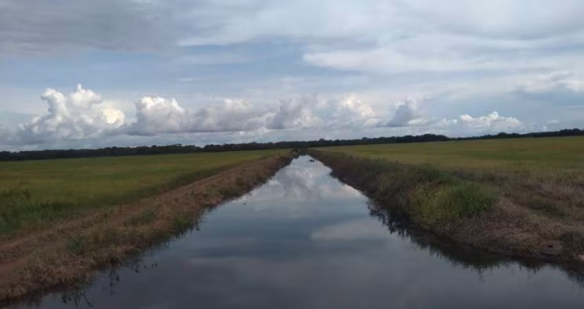 FAZENDA COM 77 ALQUEIRES PARA AGRICULTURA IRRIGADA EM LAGOA DA CONFUSÃO - TO