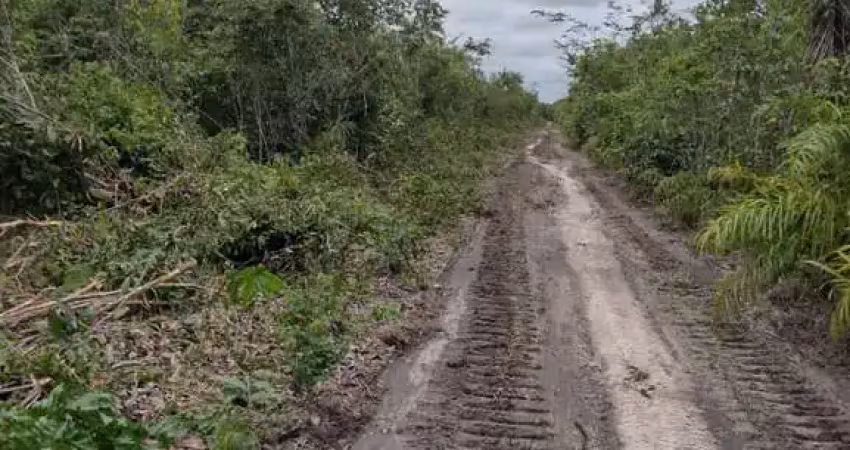 Fazenda com 2.900 alqueires de área bruta dupla aptidão no município de coelho neto - ma