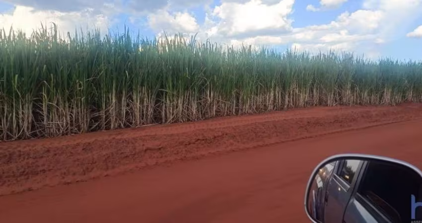 FAZENDA COM 274 ALQUEIRES COM CANA ARRENDADA NA REGIÃO DE ANDRADINA-SP