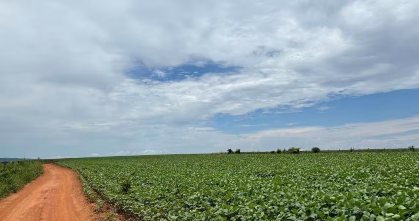 FAZENDA COM 52 ALQUEIRES DE DUPLA APTIDÃO EM CORUMBAÍBA-GO
