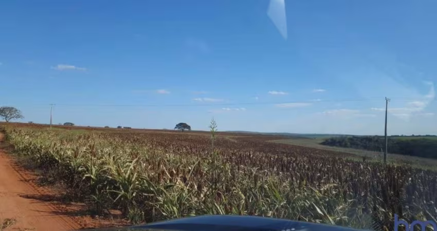 FAZENDA DUPLA APTIDÃO COM 82 ALQUEIRES EM UBERLÂNDIA-MG