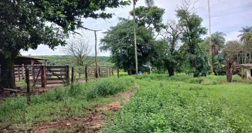 Oportunidade fazenda com 136 alqueires em uberaba-mg arrendada para cana