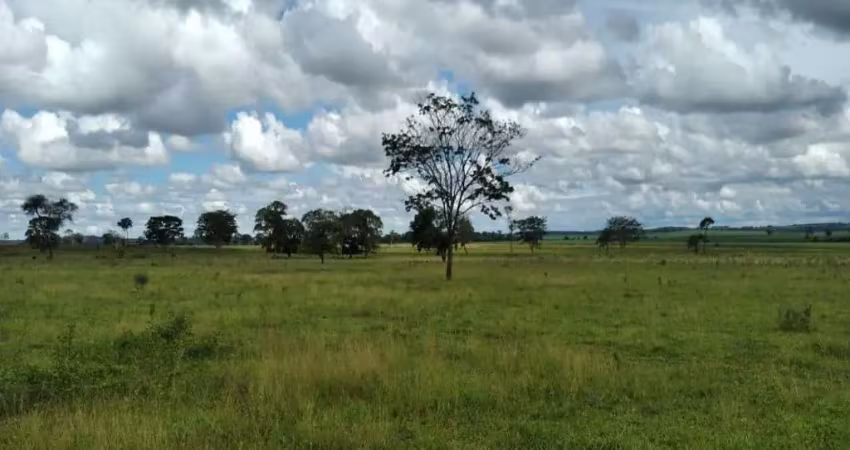 Fazenda dupla aptidão 60 alqueires em limeira do oeste - mg