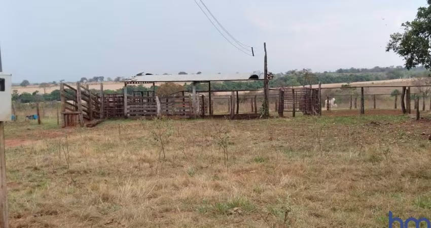 OPORTUNIDADE FAZENDA COM 44 ALQUEIRES DE DUPLA APTIDÃO EM CARNEIRINHO-MG