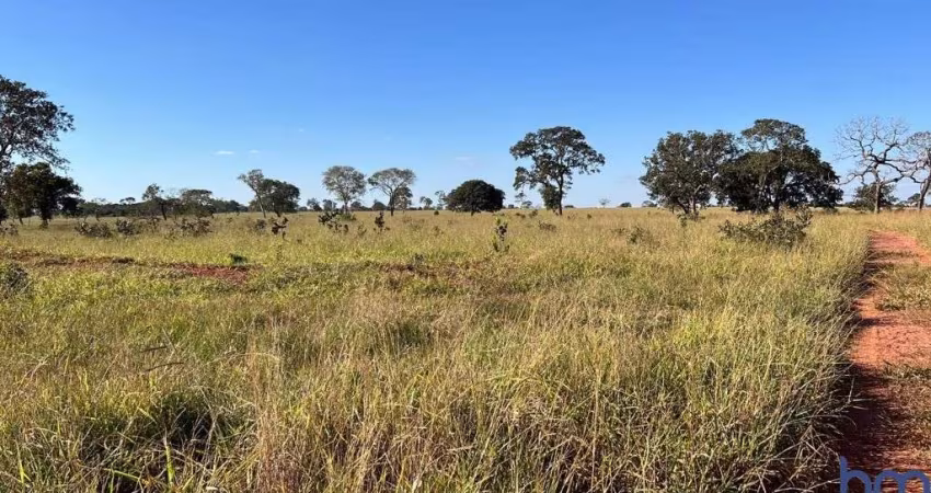 FAZENDA COM 33 ALQUEIRES DE DUPLA APTIDÃO EM CAMPINA VERDE-MG