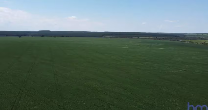 Ótima fazenda para agricultura com 120 alqueires no prata-mg