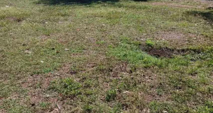 Fazenda com 320 alqueires em santa maria do tocantins-to
