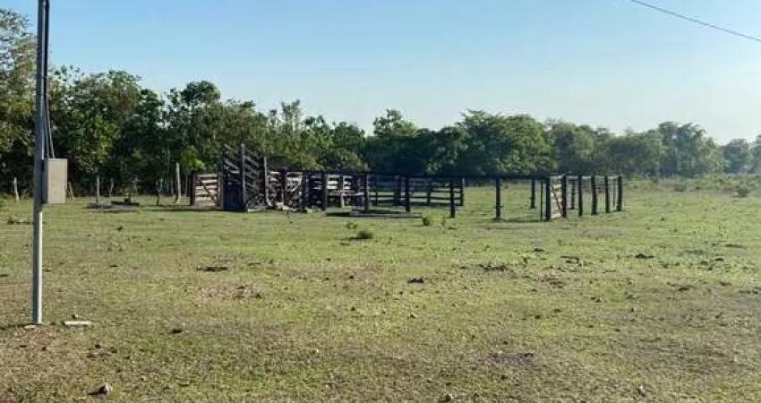 FAZENDA COM 46 ALQUEIRES DE DUPLA APTIDÃO EM DUERÉ-TO