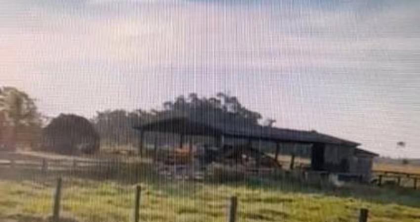 FAZENDA PARA PECUÁRIA COM 380 ALQUEIRES EM SÃO FÉLIX DO XINGU-PA