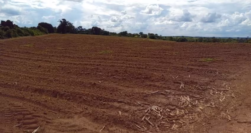 FAZENDA DE DUPLA APTIDÃO COM 70 ALQUEIRES EM UBERABA-MG