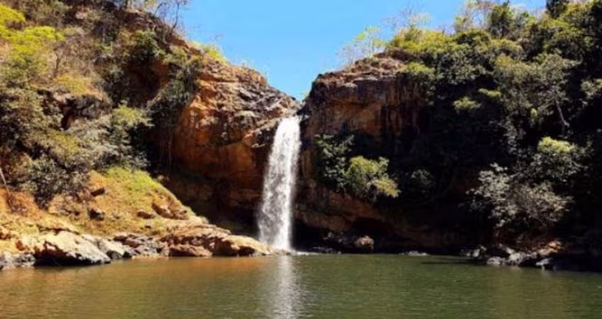 FAZENDA DE DUPLA APTIDÃO COM 200 ALQUEIRES EM FORMOSA-GO