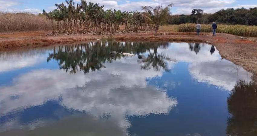 ÓTIMA FAZENDA PRODUTIVA PARA AGRICULTURA COM 350 ALQUEIRES EM ÁGUA FRIA DE GOIÁS-GO
